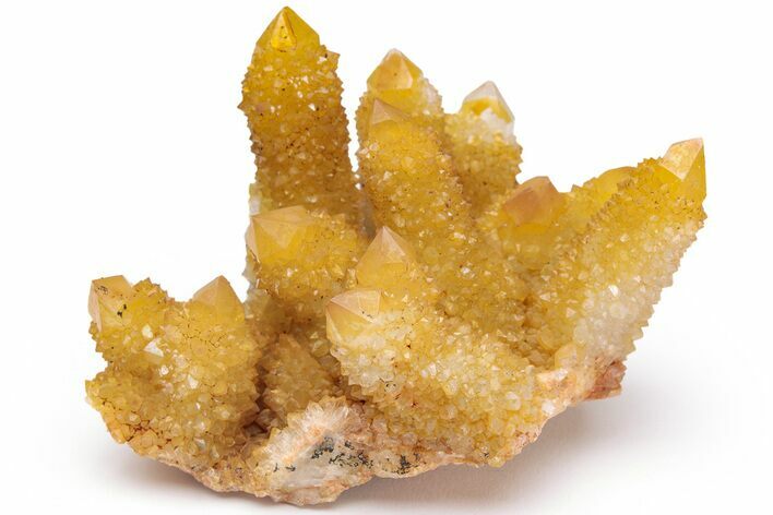 Sunshine Cactus Quartz Crystal Cluster - South Africa #217973